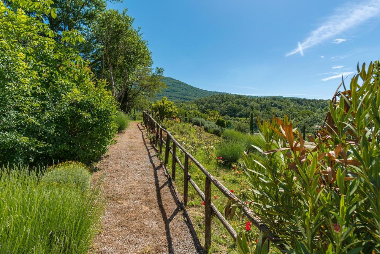 Borgo del Grillo - House in historical Borgo in Tuscany - Quercia Spineta Esterno foto